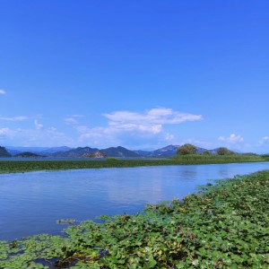 Le lac Skadar, dernière étape de cet été au Monténégro 🇲🇪